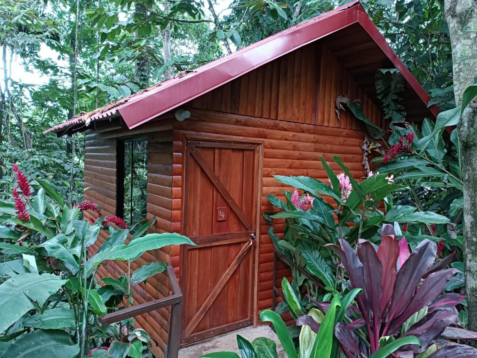 Arenal Rustic Lodge La Fortuna Exteriér fotografie