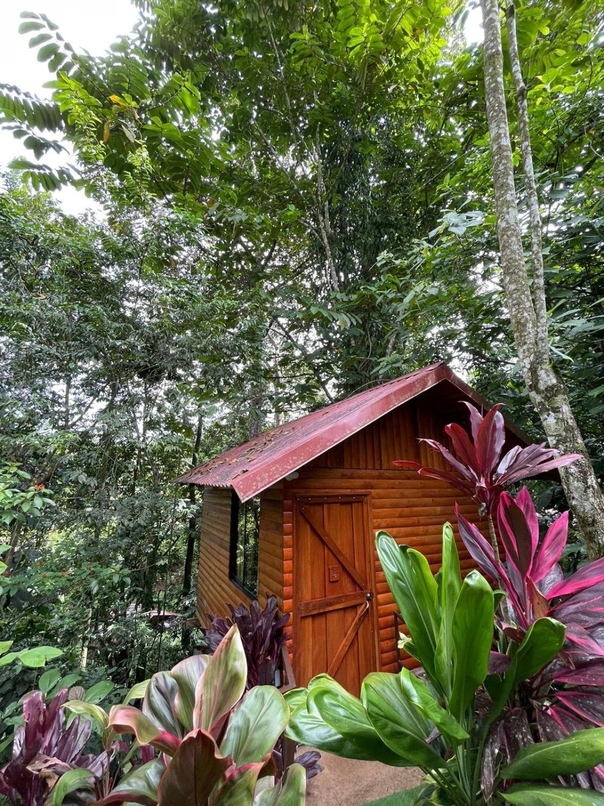 Arenal Rustic Lodge La Fortuna Exteriér fotografie