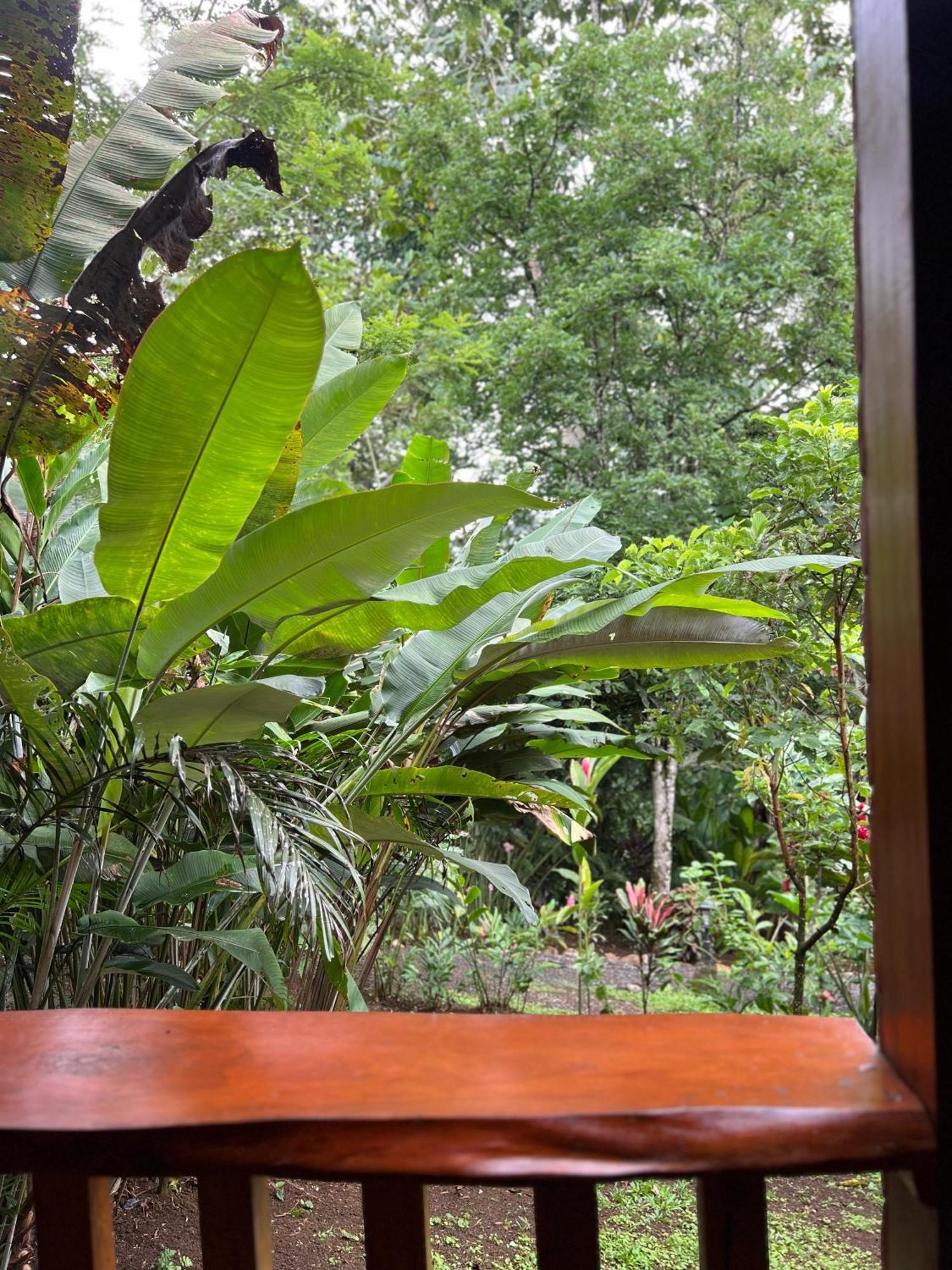 Arenal Rustic Lodge La Fortuna Exteriér fotografie