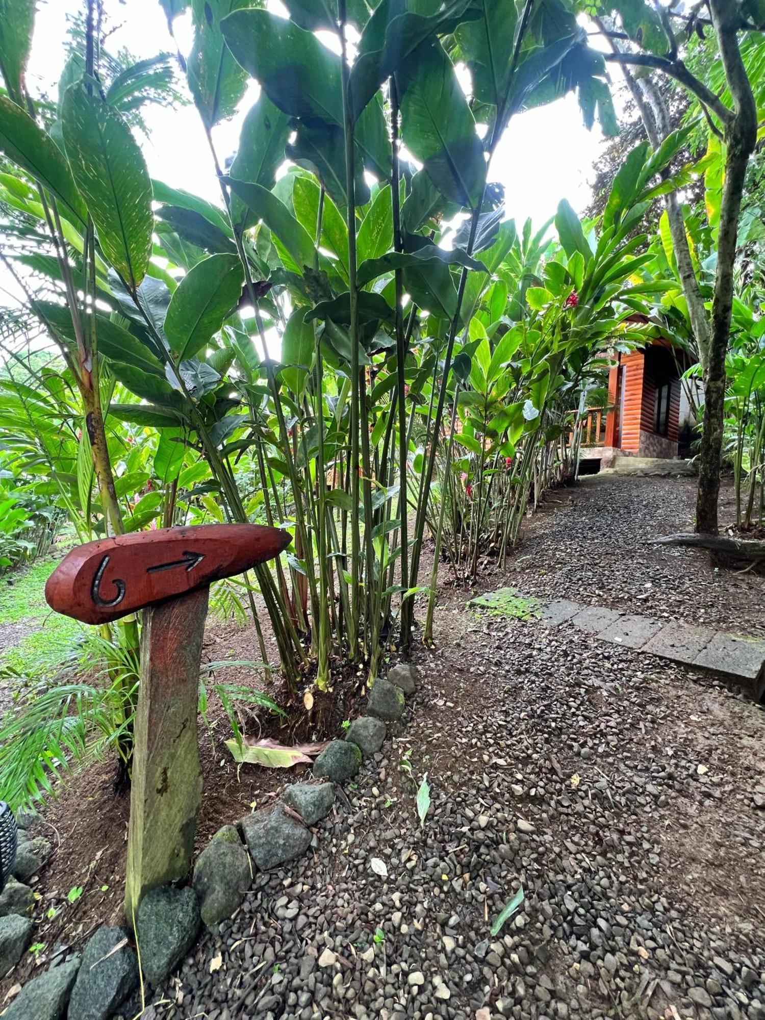 Arenal Rustic Lodge La Fortuna Exteriér fotografie