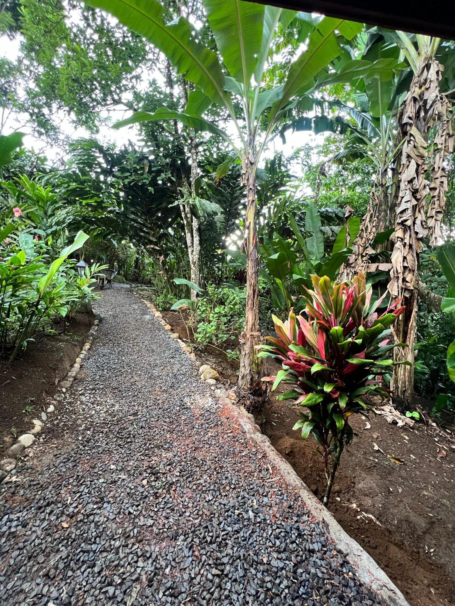 Arenal Rustic Lodge La Fortuna Exteriér fotografie