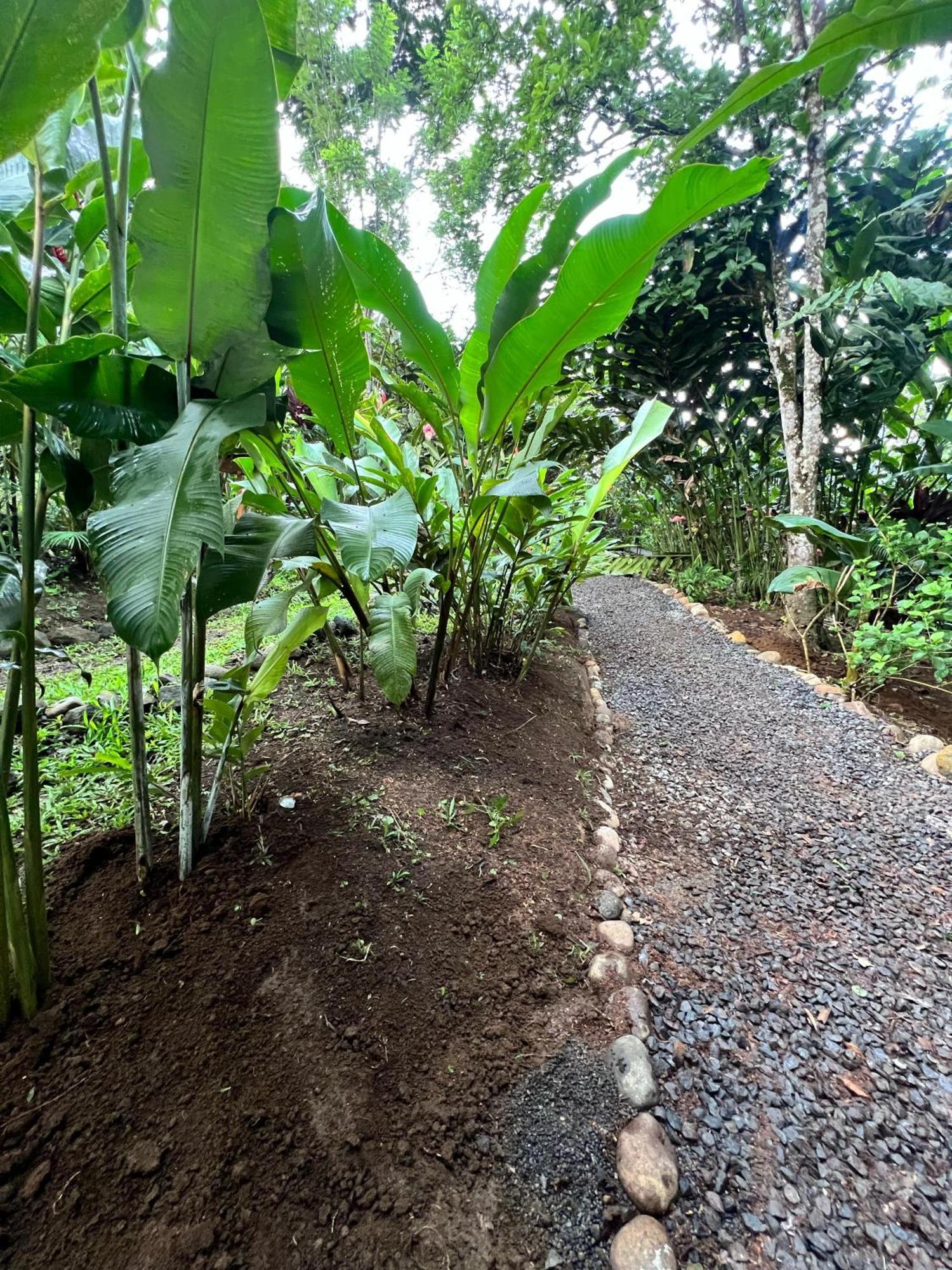 Arenal Rustic Lodge La Fortuna Exteriér fotografie